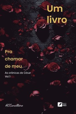 bokomslag Um livro pra chamar de meu - As crnicas de Csar