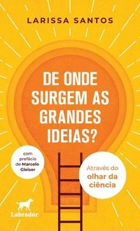 bokomslag De onde surgem as grandes ideias?