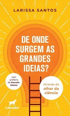 bokomslag De onde surgem as grandes ideias?