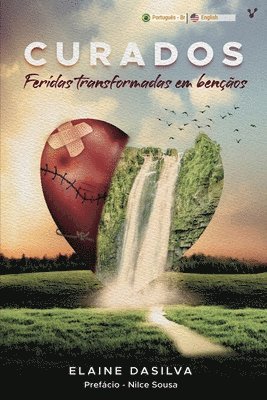 Elaine Dasilva - Curados feridas transformadas em bençãos, Häftad