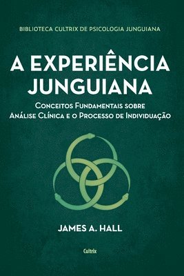 James A Hall - experiência junguiana, Häftad
