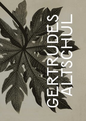 Adriano Pedrosa, Tomás Toledo - Gertrudes Altschul: Filigree, Inbunden