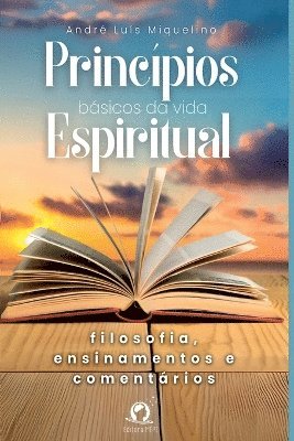 bokomslag Princípios Básicos Da Vida Espiritual