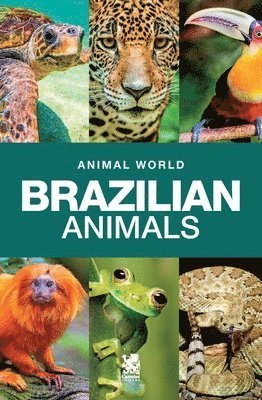 Animal World 1