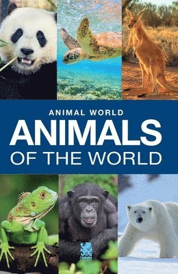 Animal World 1