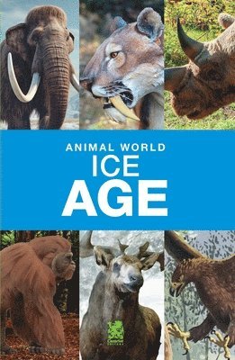 Animal World 1