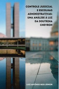 bokomslag Controle Judicial E Escolhas Administrativas