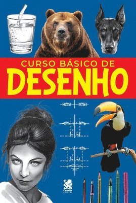 bokomslag Curso Bsico de Desenho