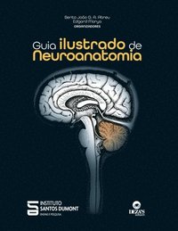 bokomslag Guia ilustrado de neuroanatomia