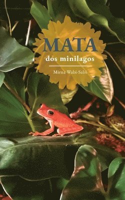 Mirna Wabi-Sabi - MATA dos minilagos, Häftad
