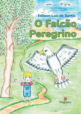 bokomslag O Falco Peregrino