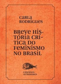 bokomslag Breve histria do feminismo no Brasil