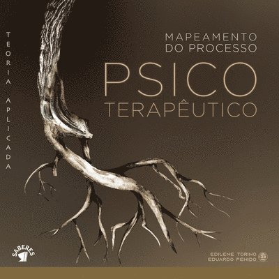 Mapeamento do processo psicoteraputico 1