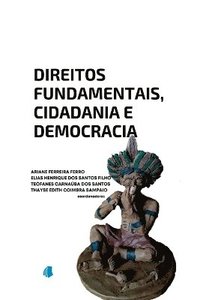 bokomslag Direitos Fundamentais, Cidadania E Democracia