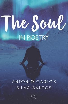bokomslag soul in poetry