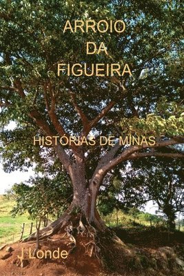 bokomslag Arroio Da Figueira