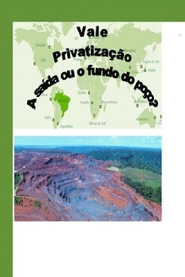 bokomslag Vale: Privatização - A Saída ou o Fundo do Poço?