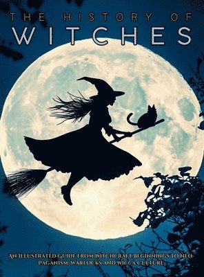 Ziggy Quinete - History of Witches, Inbunden