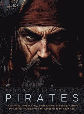 Ziggy Quinete - Golden Age of Pirates, Inbunden