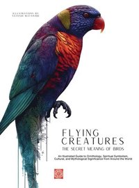 bokomslag Flying Creatures