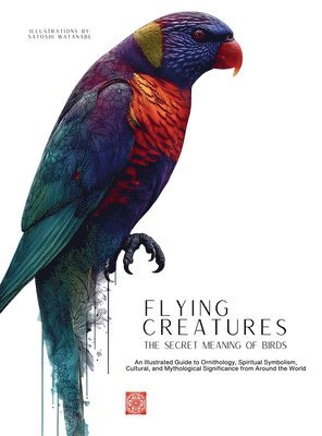 bokomslag Flying Creatures