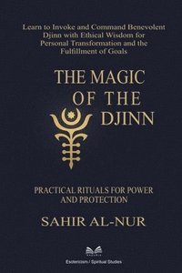 bokomslag Magic of the Djinn