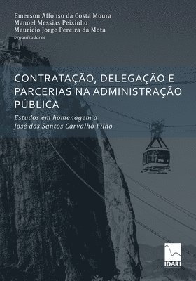 bokomslag Contratao, Delegao E Parcerias Na Administrao Pblica