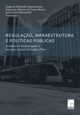 bokomslag Regulao, Infraestrutura E Polticas Pblicas