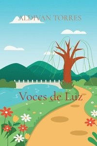 bokomslag Voces de Luz