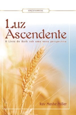 Rav Moshe Miller, Daniel Sztejnhauer, daniel sztejnhauer - Luz Ascendente, Häftad