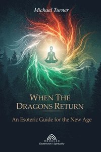 bokomslag When the Dragons Return