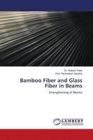 Rakesh Patel, Prof Parshottam Sarathe - Bamboo Fiber and Glass Fiber in Beams, Häftad