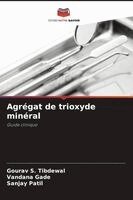 Gourav S Tibdewal, Vandana Gade, Sanjay Patil - Agrégat de trioxyde minéral, Häftad