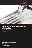 Gourav S Tibdewal, Vandana Gade, Sanjay Patil - Aggregato di triossido minerale, Häftad