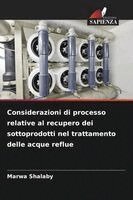 Marwa Shalaby - Considerazioni di processo relative al recupero dei sottoprodotti nel trattamento delle acque reflue, Häftad