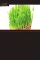 Sharmistha Pal, S C Datta - Rola kwasów organicznych w lagodzeniu toksyczności glinu, Häftad. Tillgänglighet: Lägg i varukorg