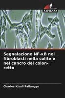 Charles Kisali Pallangyo - Segnalazione NF-κB nei fibroblasti nella colite e nel cancro del colon-retto, Häftad. Tillgänglighet: Lägg i varukorg