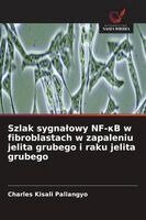 Charles Kisali Pallangyo - Szlak sygnalowy NF-κB w fibroblastach w zapaleniu jelita grubego i raku jelita grubego, Häftad. Tillgänglighet: Lägg i varukorg