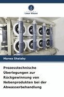 Marwa Shalaby - Prozesstechnische Überlegungen zur Rückgewinnung von Nebenprodukten bei der Abwasserbehandlung, Häftad