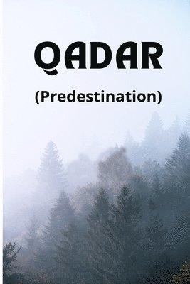 bokomslag Predestination - Qadar