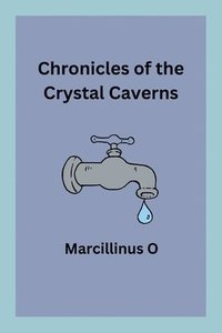 bokomslag Chronicles of the Crystal Caverns