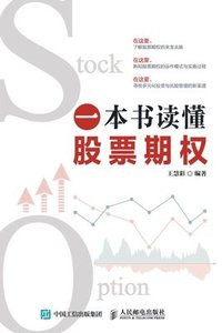 bokomslag Understanding Stock Options in One Book/?????????