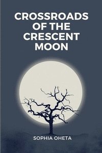 bokomslag Crossroads of the Crescent Moon