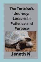 Tortoise's Journey 1