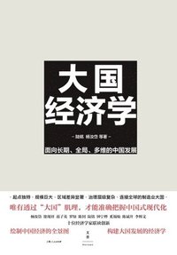bokomslag Mega-Nation Economics: Navigating China's Development with Long-Term Vision, Holistic Perspective, and Multidimensional Strategy/??&#324