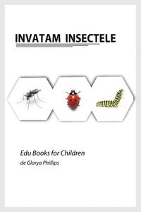 bokomslag Invatam Insectele