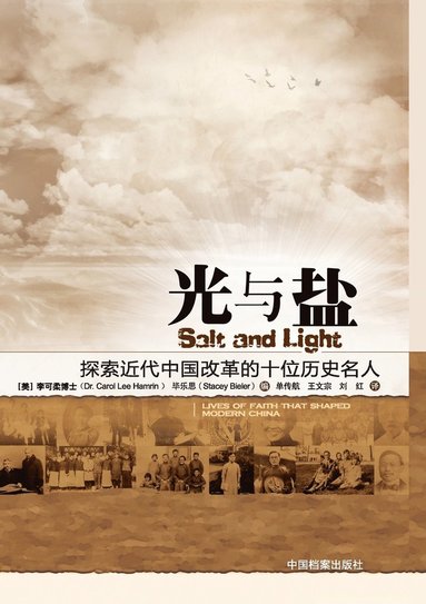 Carol Lee Hamrin - Salt and Light, Häftad