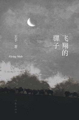 &#39134;&#32724;&#30340;&#39585;&#23376; Flying Mule 1