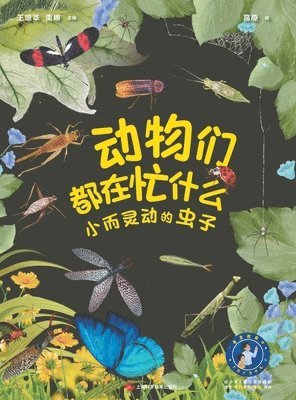 What Are Animals Up To