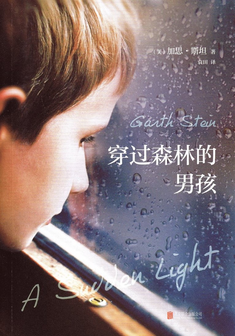 Garth Stein - A Sudden Light (Kinesiska), Inbunden